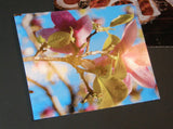 Glossy Note Cards