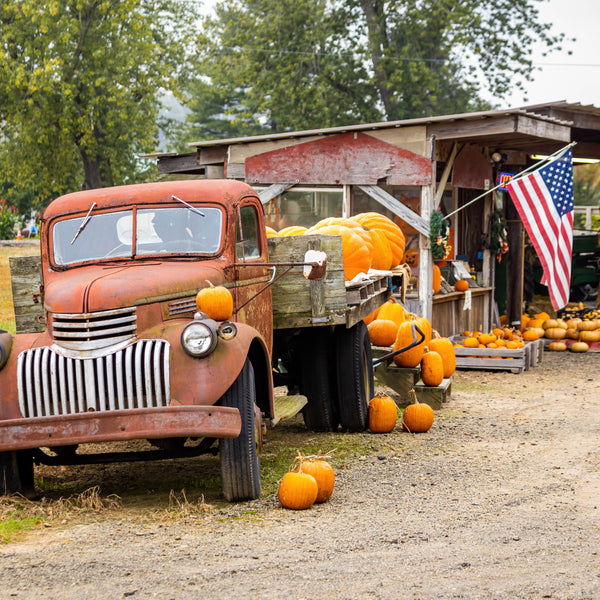 An old truck at a local farm market surrounded by fall pumpkins.