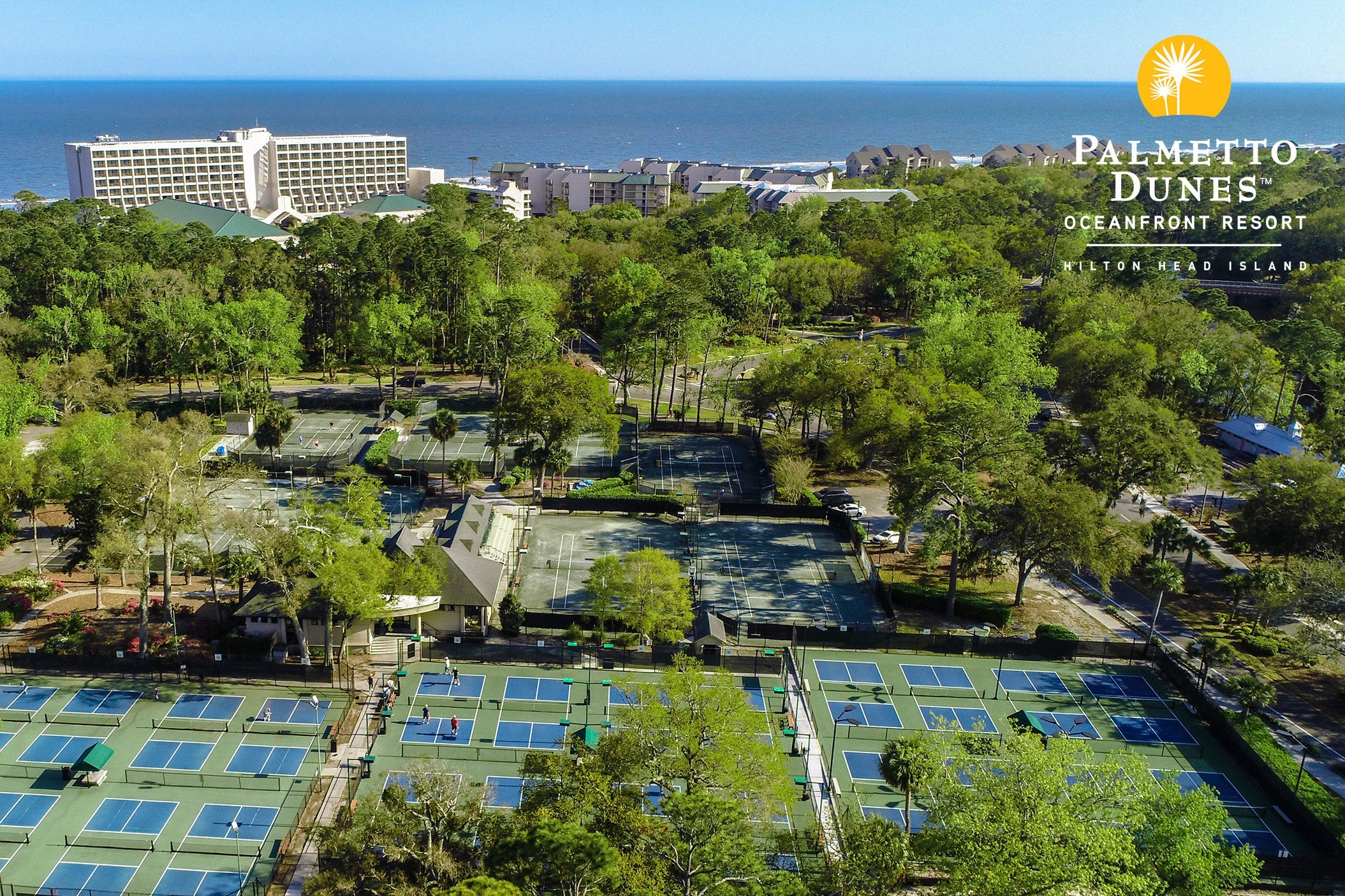 palmetto dunes pickleball resort