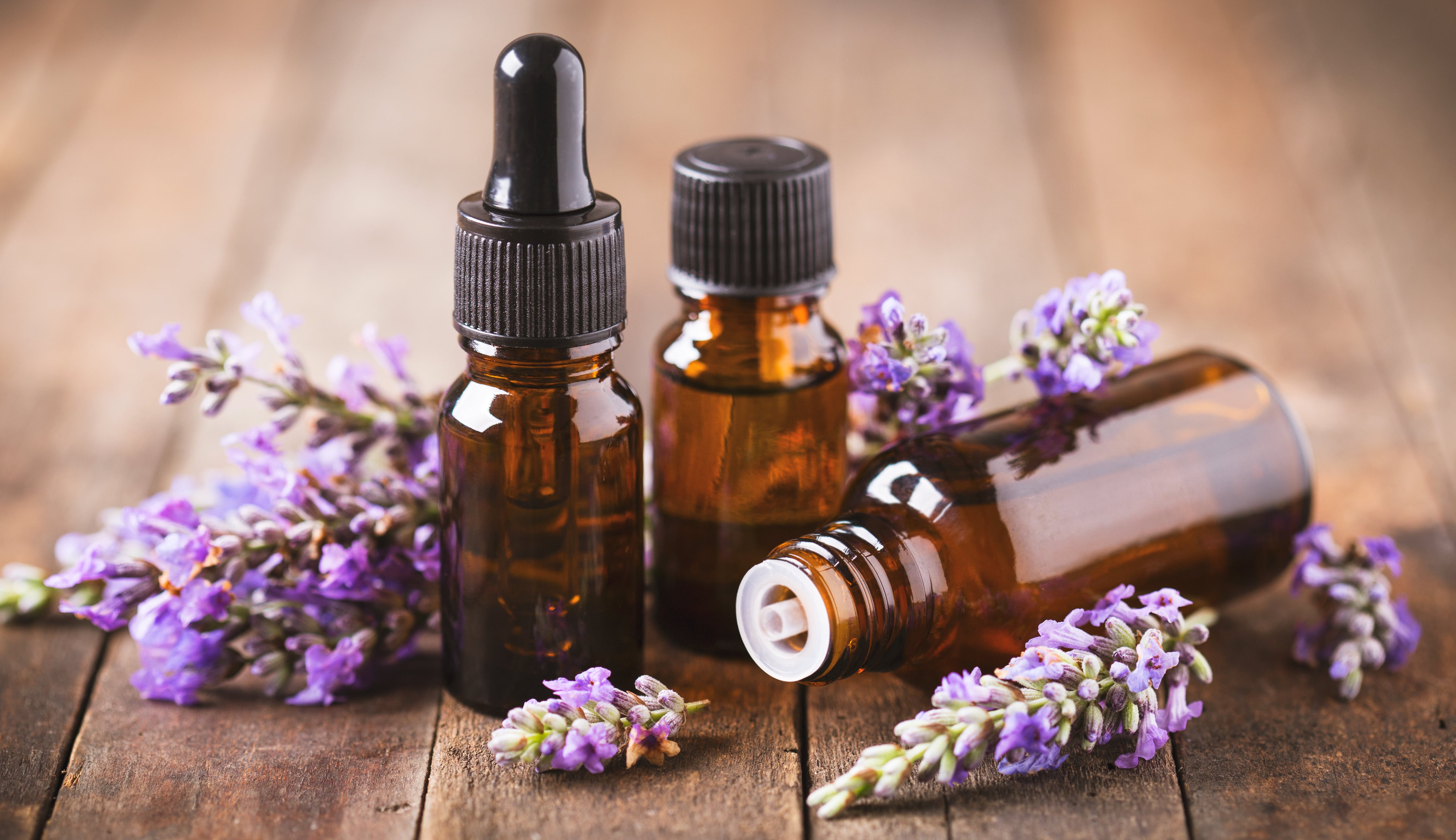 Lavender Oil for Acne - Puristry