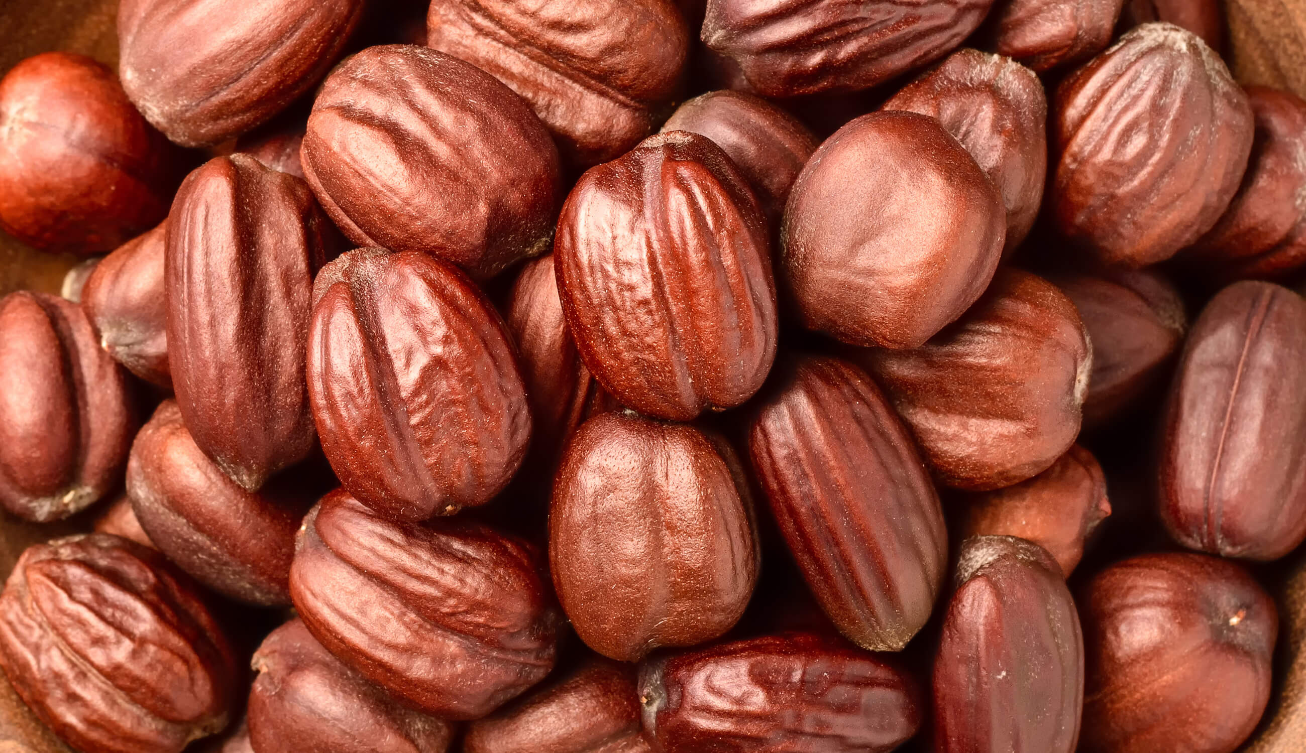 Jojoba seeds