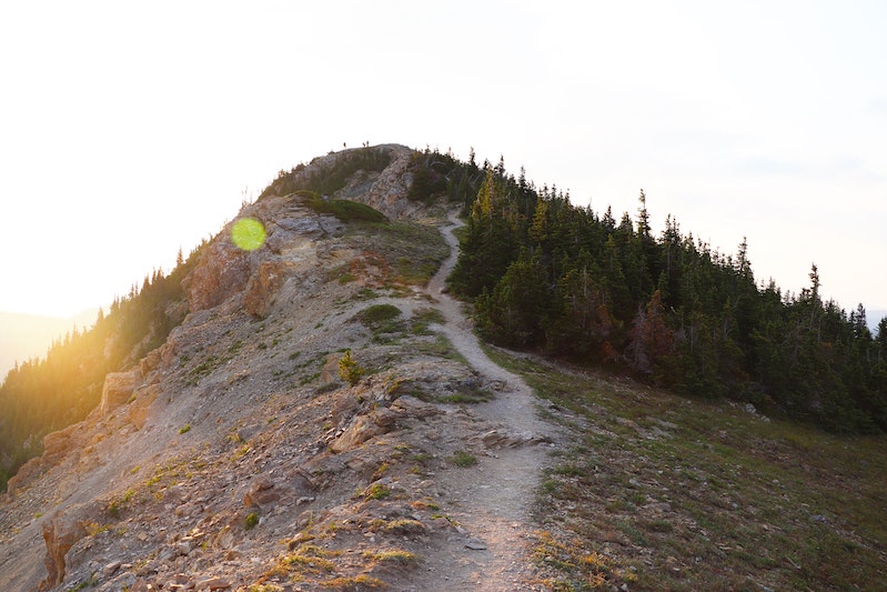 Flathead National Forest in Western Montana