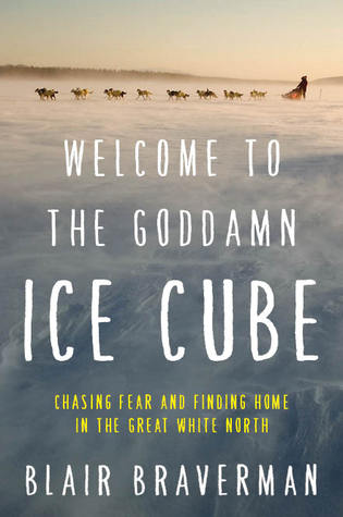 Welcome to the Goddamn Ice Cube - Blair Braverman