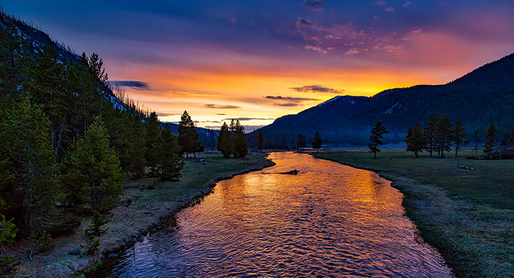 Yellowstone National Park