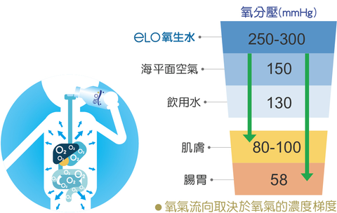 E Lo 氧生水 給你健康 超乎想象 Elo氧生水 台灣官網