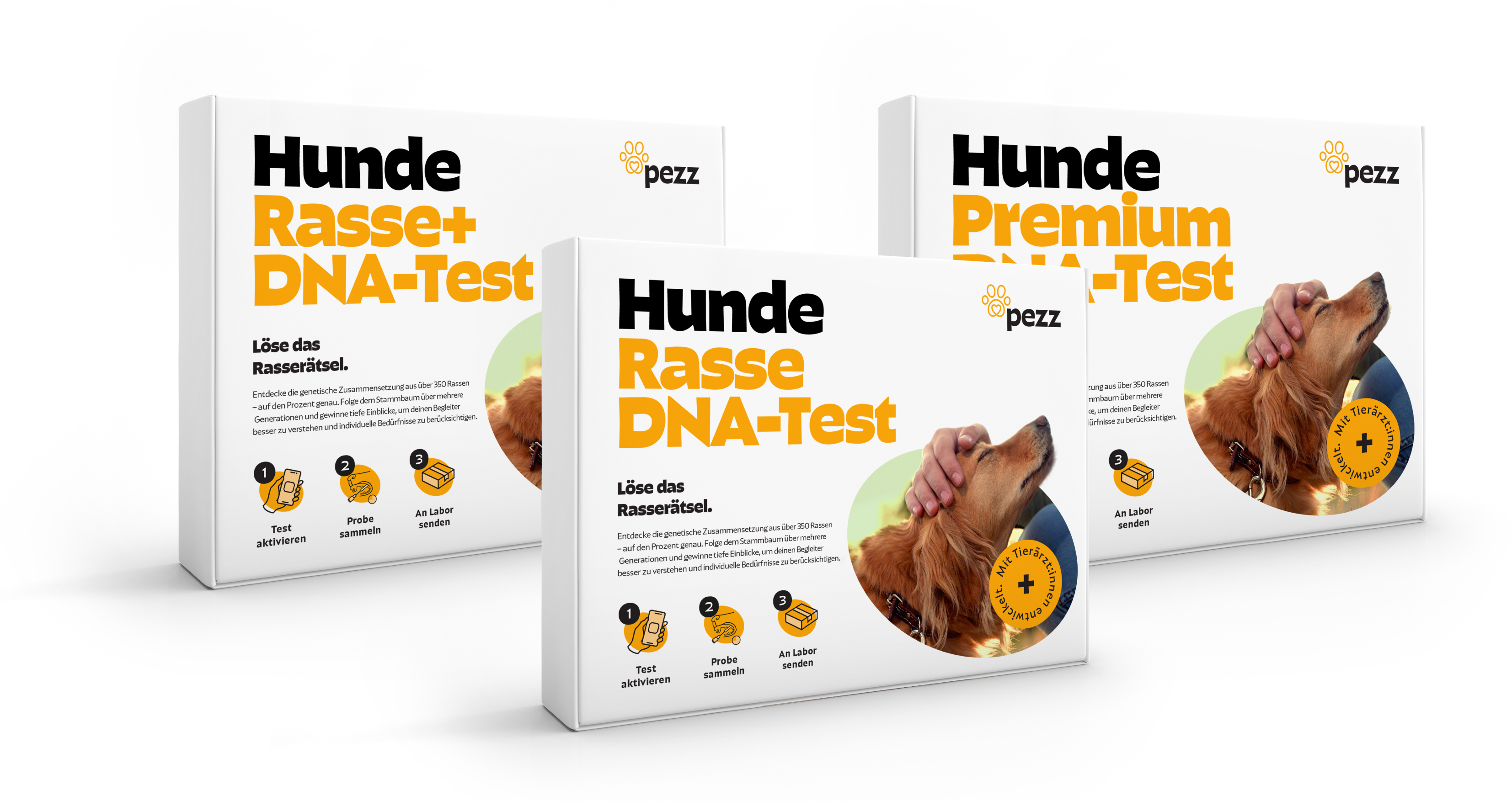 all unsere  DNA-Tests
