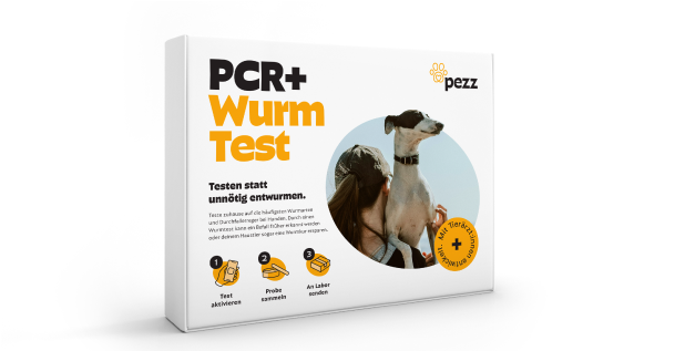 Wurmtest PCR+