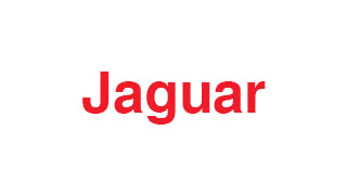 Jaguar