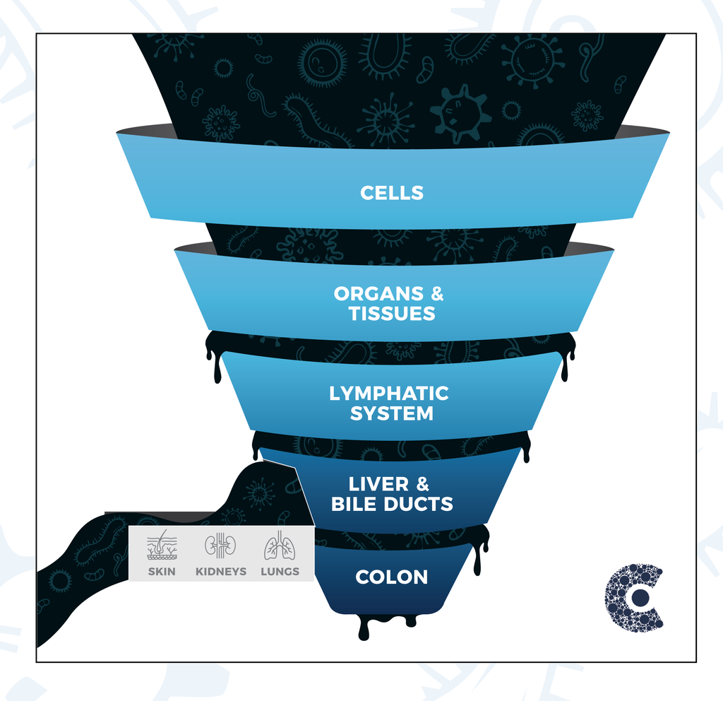 Updated CellCore drainage funnel