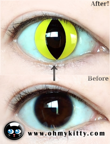 59 Best Images Cat Eye Contacts Yellow - Catra Yellow Single Lens Samhain Contact Lenses