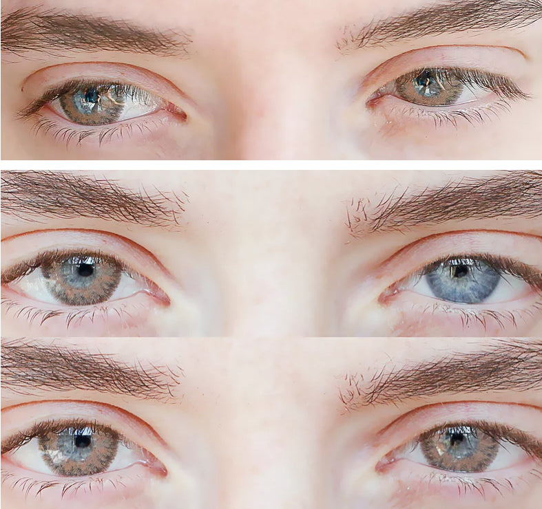 mini-nobluk-brown-eyes.jpg