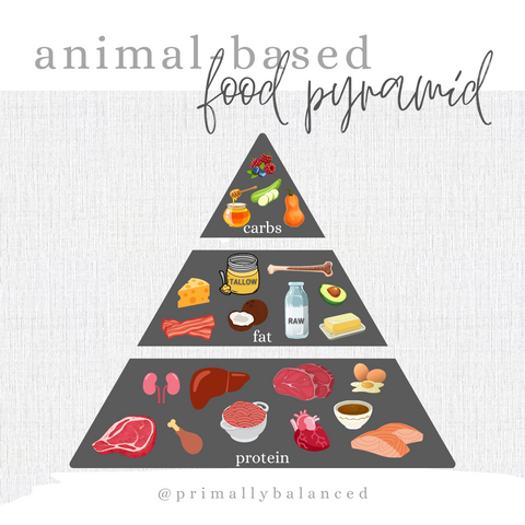 animal-based food pyramid