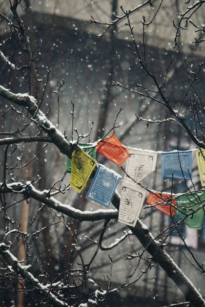 Tibeten praying 🙏🏽 flags all sizes