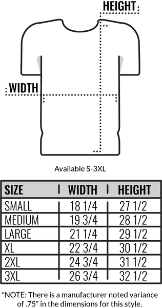 Next Level 6010 Size Chart