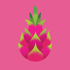 dragon fruit  illustration on a pink background