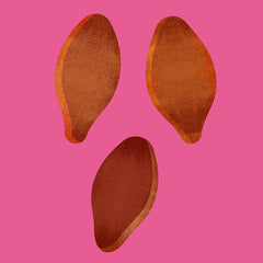 flax seed  illustration on a pink background