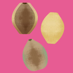 hemp seeds  illustration on a pink background