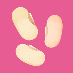 navy beans  illustration on a pink background