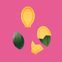 pumpkin seeds illustration on a pink background