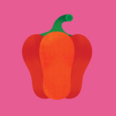 red bell pepper illustration on a pink background