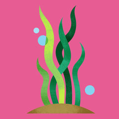spirulina  illustration on a pink background