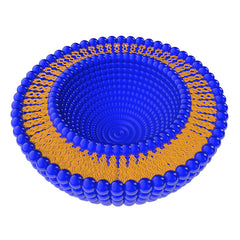 Close up of liposomes