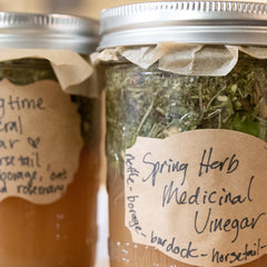 medicinal vinegar and shrubs