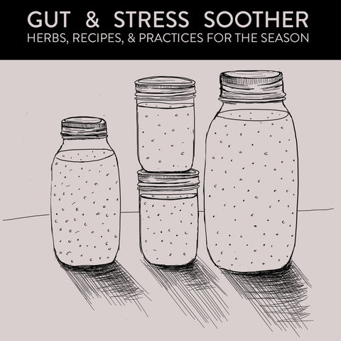gut and stress repair