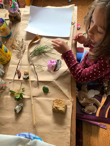 Art with plants, rocks, and twigs