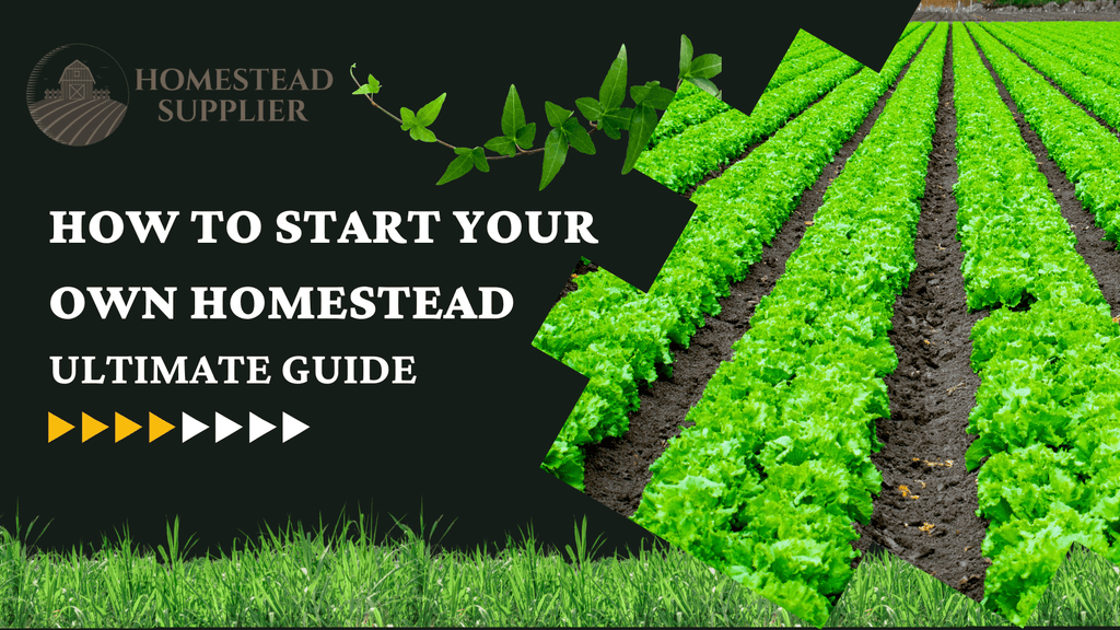 Homesteading Supplies Every Homesteader Should Have On Hand