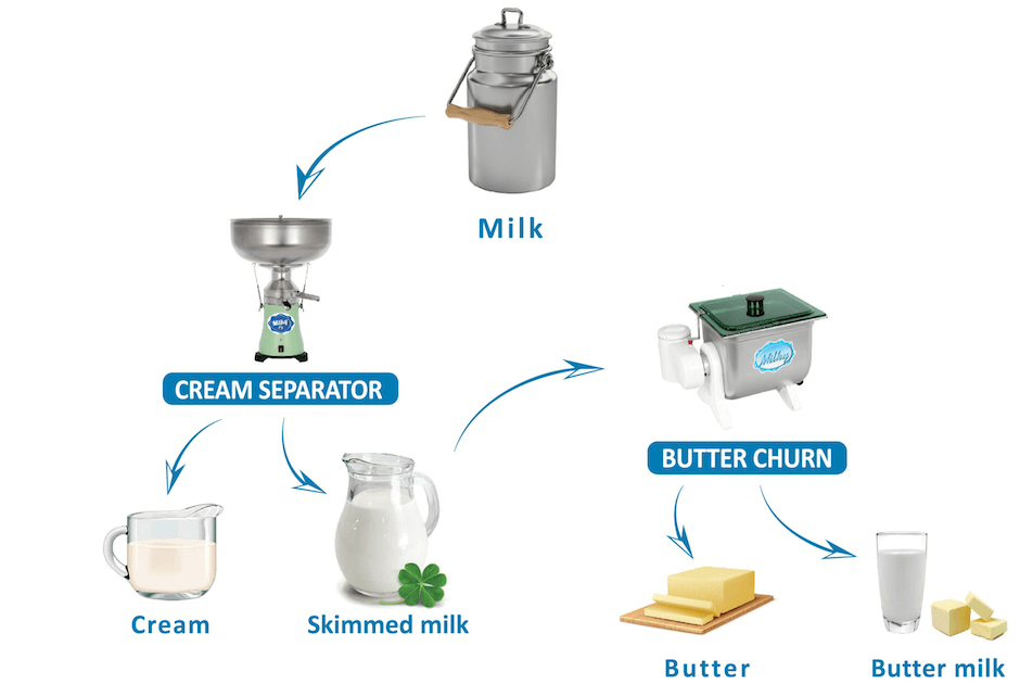 Homestead Supplier Milk Processing