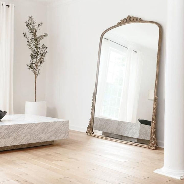 Ornate full length mirror