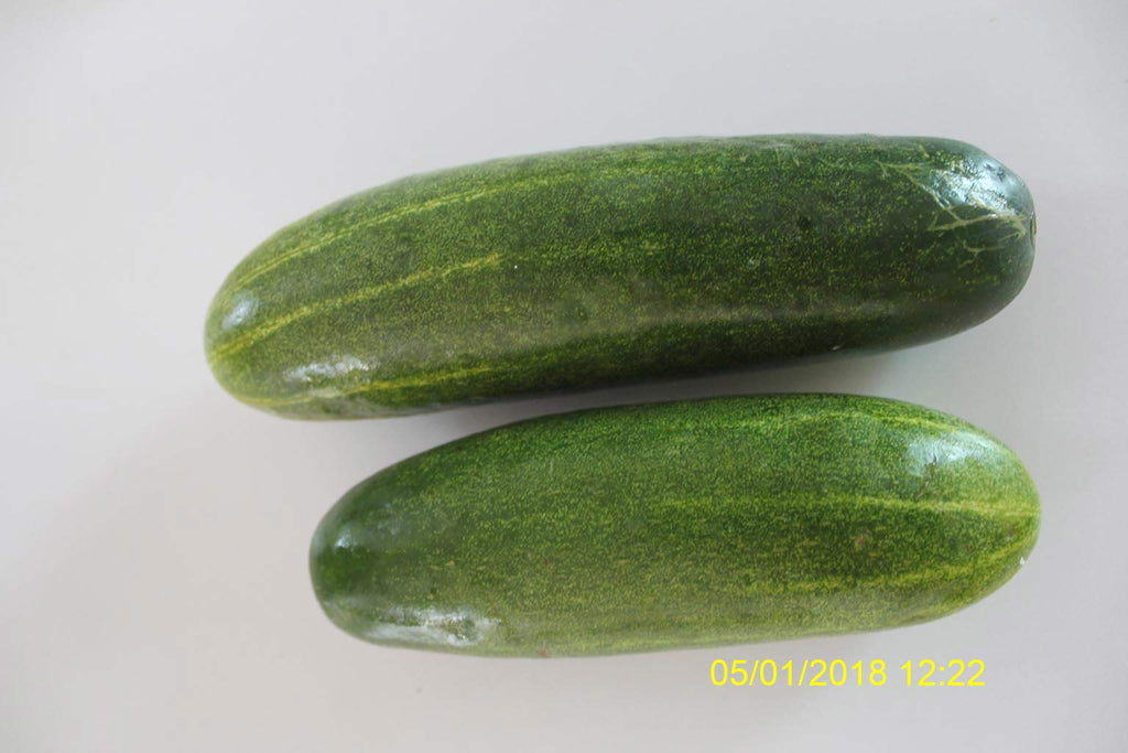 Refresh Bag test result of Cucumber on 6th Day