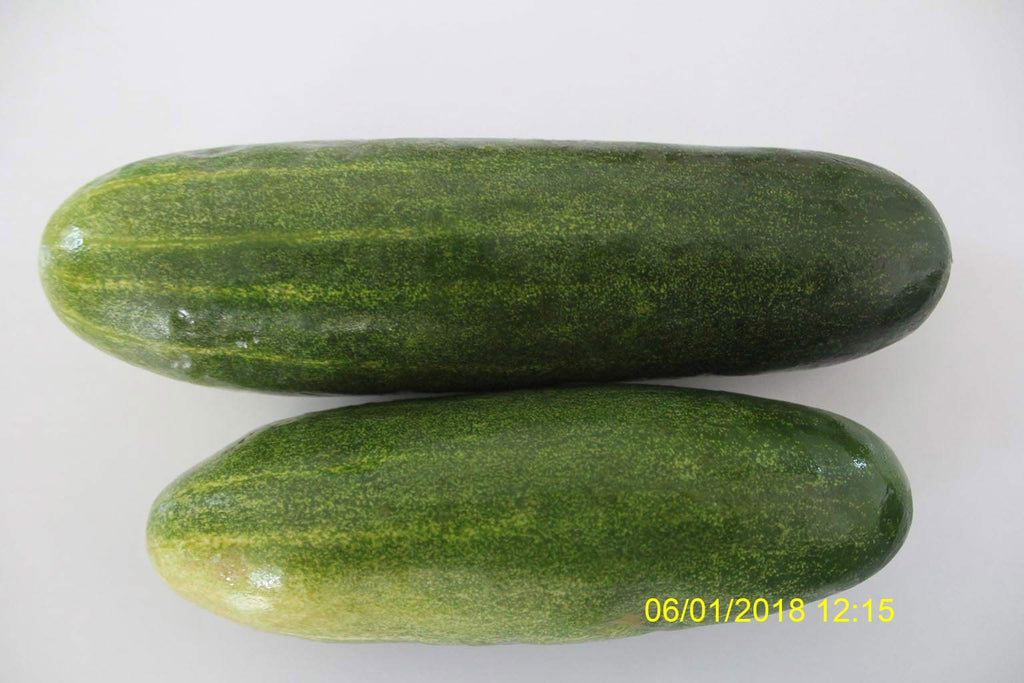 Refresh Bag test result of Cucumber on 7th Day