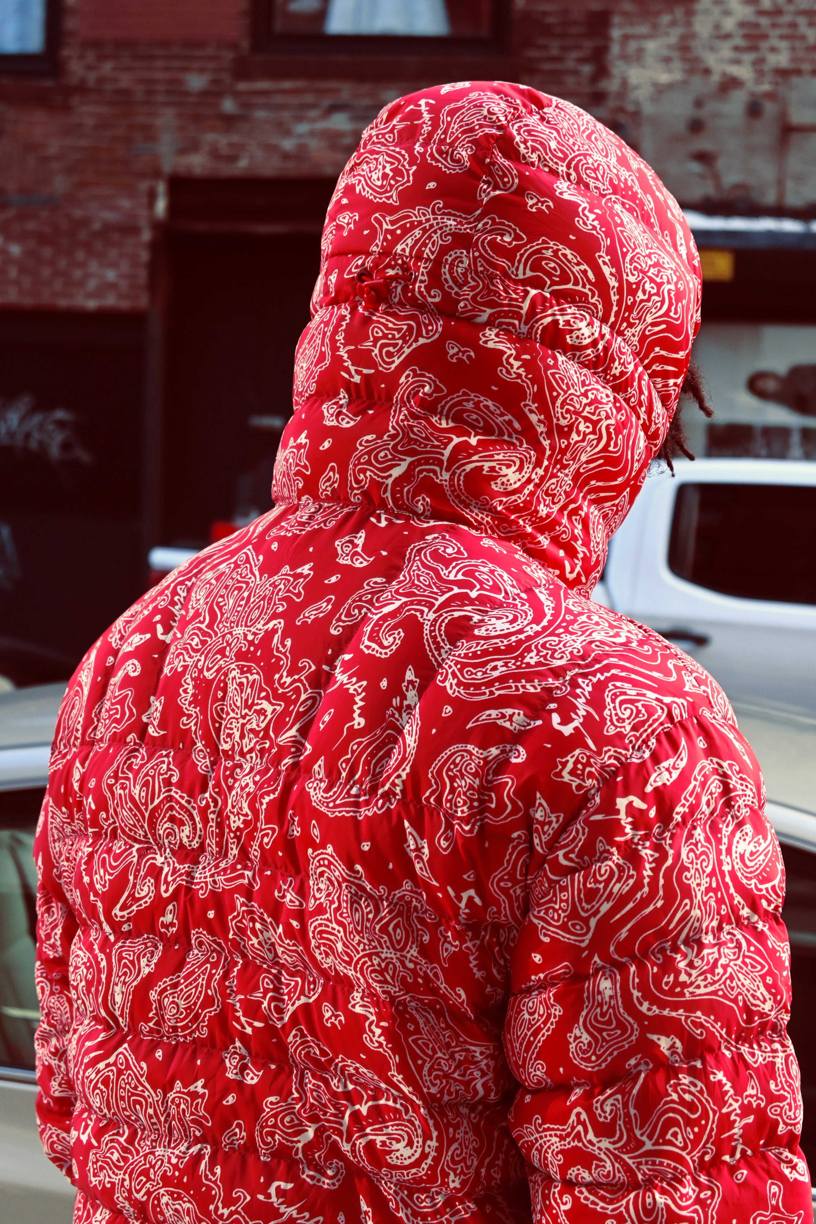 Supreme Micro Down Half Zip Hooded Pullover Red Paisley (FW22)