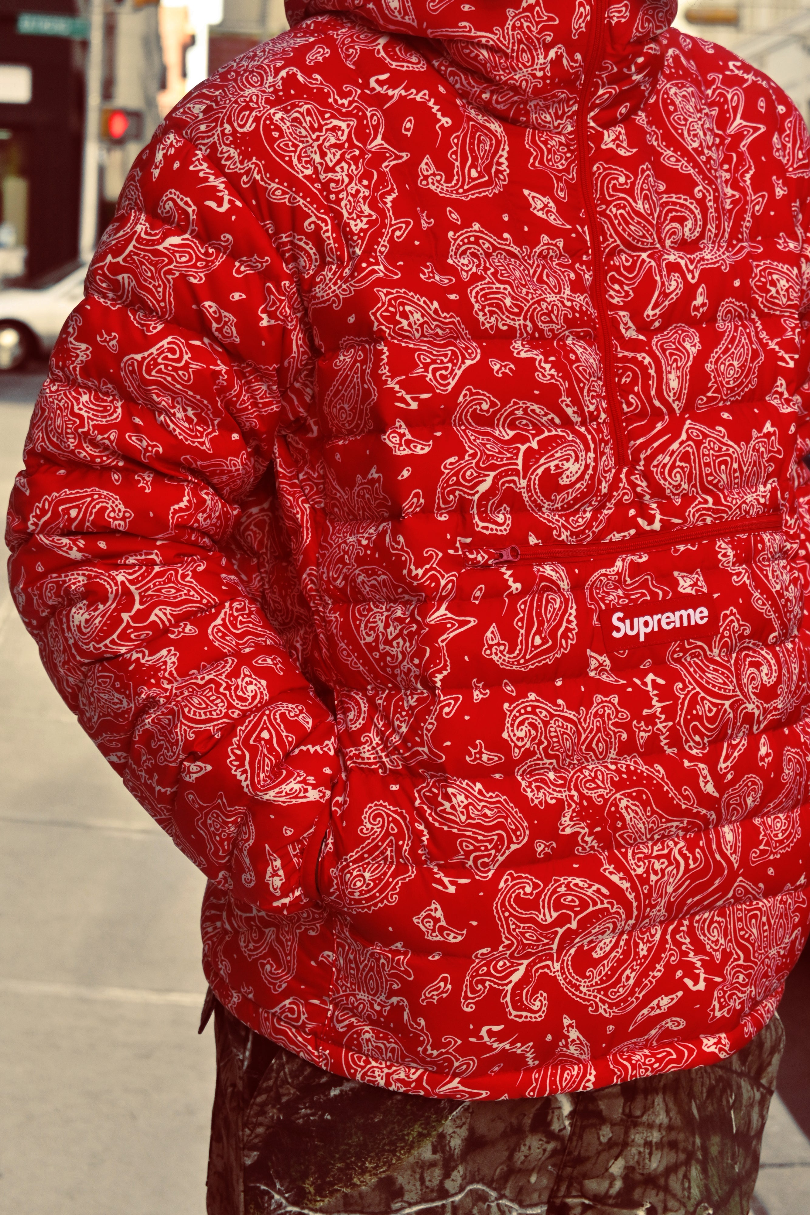 Supreme Micro Down Half Zip Hooded Pullover Red Paisley (FW22