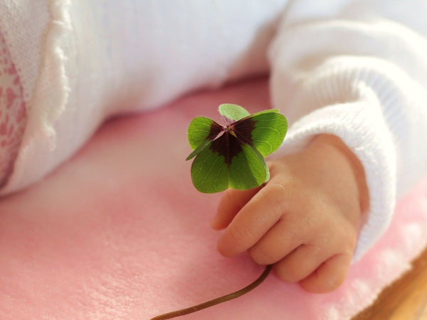 Why Four Leaf Clovers Are Lucky?