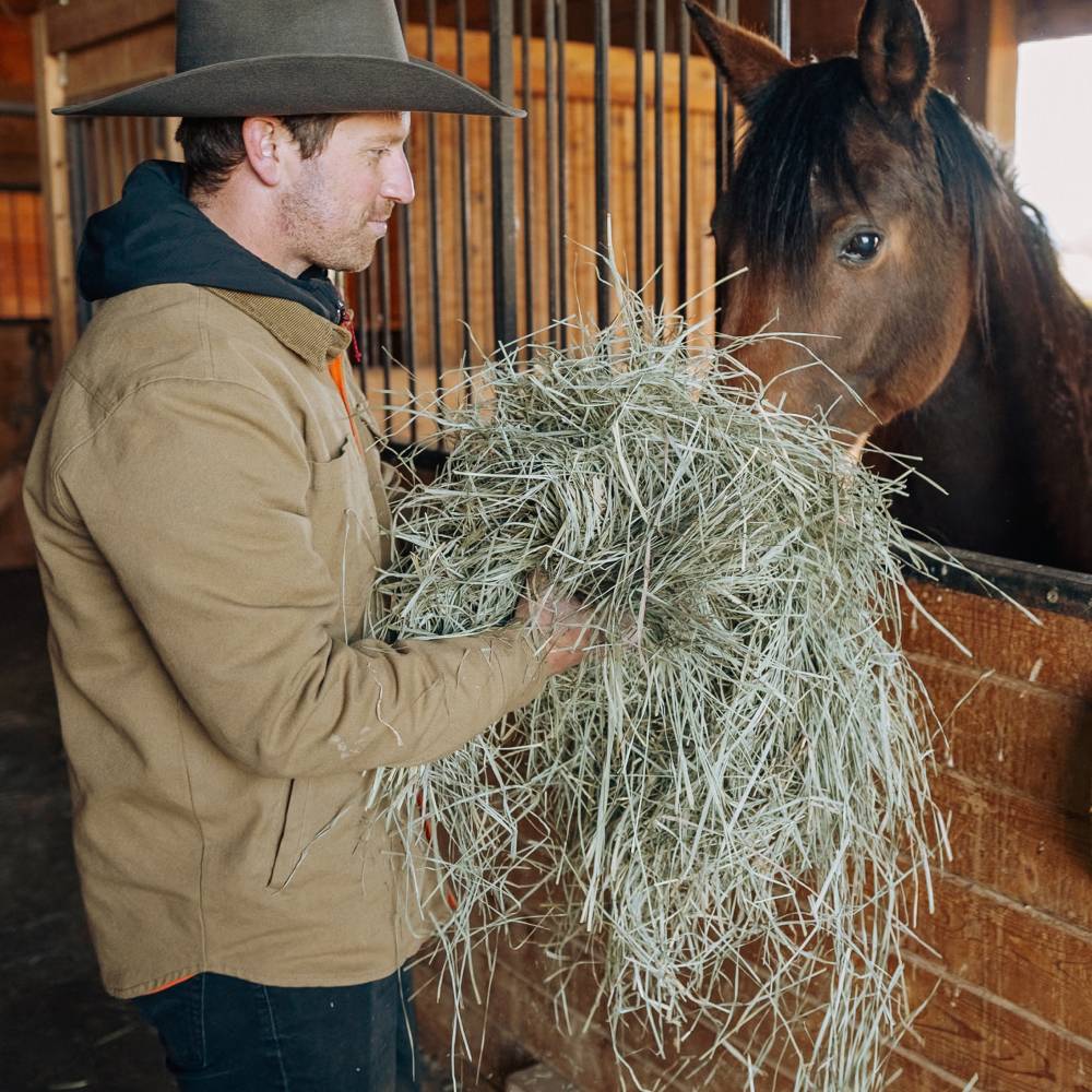 Man feeding horse hay wearing Buck Smoke black cowboy hat