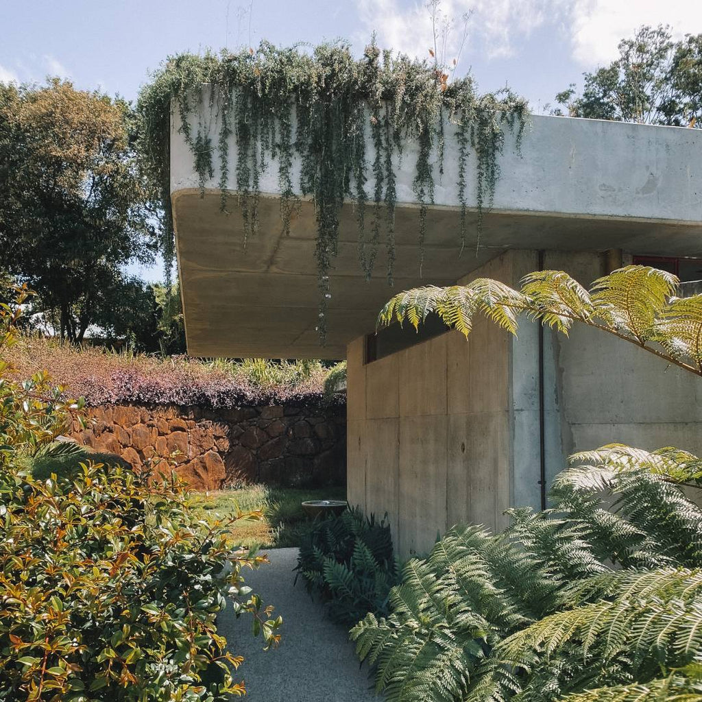 A pathway covered with plants on the side of the building Grounde House 107r