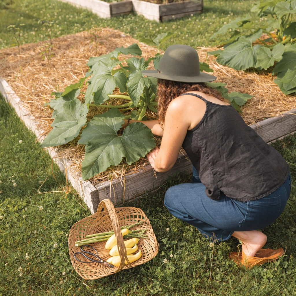 Woman with long curly hair wearing a wide brim hat is picking vegetables from a small vege patch