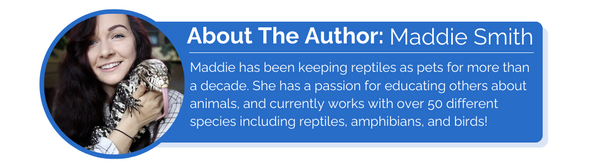 About the author, Maddie Smith 7/23