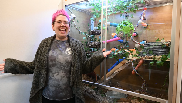 Kasey, the Zen Habitats Animal Care Manger standing in front of a corn snake enclosure, a 4x2x4 Zen Habitats PVC Reptile Enclosure