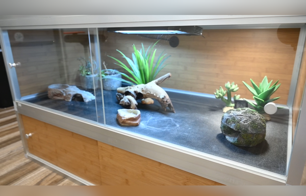 Leopard Gecko lighting and heating guide setup. Leopard Gecko Enclosure by Zen Habitats. Leopard Gecko tanks and terrariums by Zen Habitats