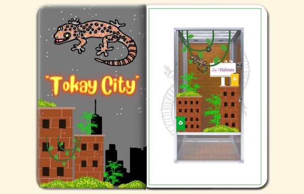 before vs after painting a zen habitats 2x2x4 pvc enclosure. Tokay Gecko enclosure build. Tokay Gecko terrarium