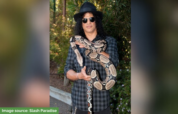 Image credit - Slash Paradise. lead guitarist for Guns N’ Roses, Slash, holding a snake