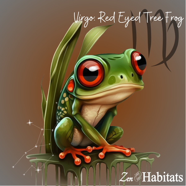 virgo red eyed tree frog tree frog frog zodiac sign by Zen Habitats