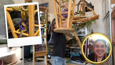 Lori Torrini of Beahviour Education LLC shows other enrichment ideas for snakes. Using a kitchen stool, and attaching various toys is an easy DIY snake enrichment tool