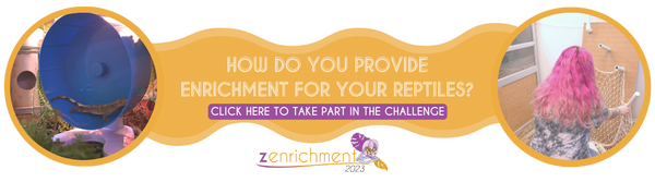 how do you provide enrichment for your reptiles? Take part in the Zenrichment challenge!