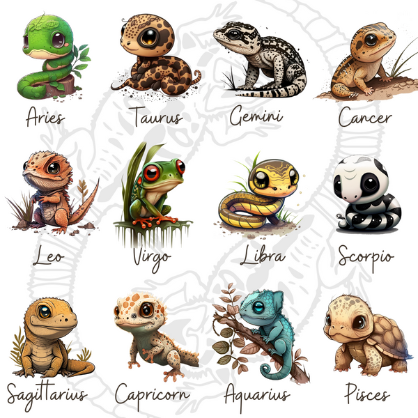 What Reptile Fits Your Zodiac Sign? We’ve broken down the most common traits for each Zodiac sign and paired them with a species of reptile or amphibian that are a similar match! Check it out and see if you can spot any similarities between yourself and your match! Zen Habitats reptile enclosures