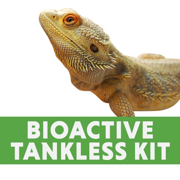 bioactive tankless kit bearded dragon